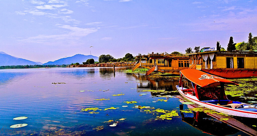 kashmir