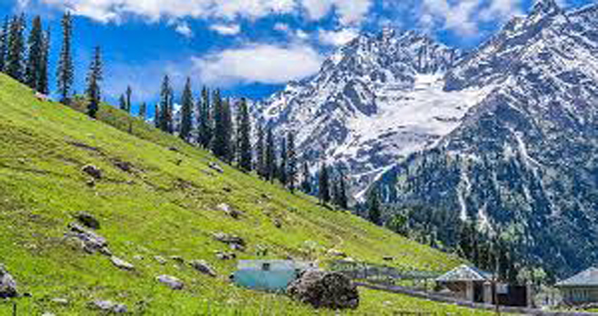 kashmir
